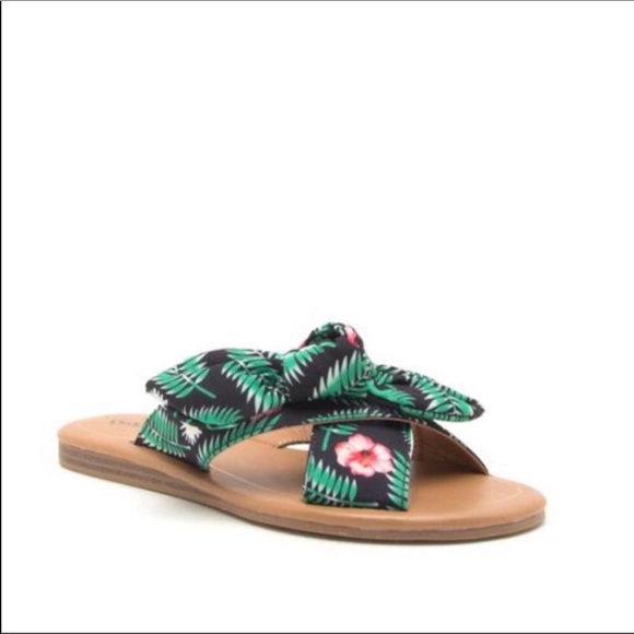 5.5 Tropical Slide - Picture 5 of 5